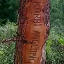 karbi