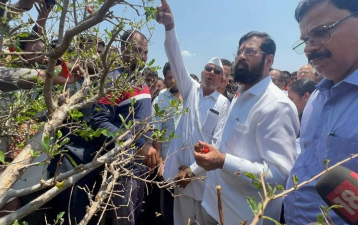 Pyllait pisa ka sorkar Maharashtra ban ïarap ïa ki nongrep nongrep