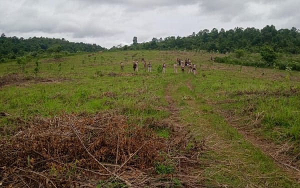 lapangap