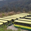 bus-stem