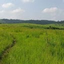 lapangap