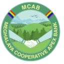 MCAB