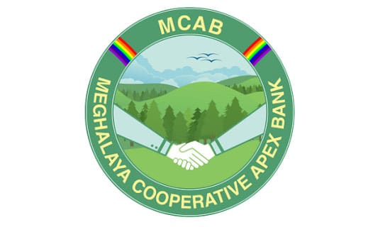 MCAB