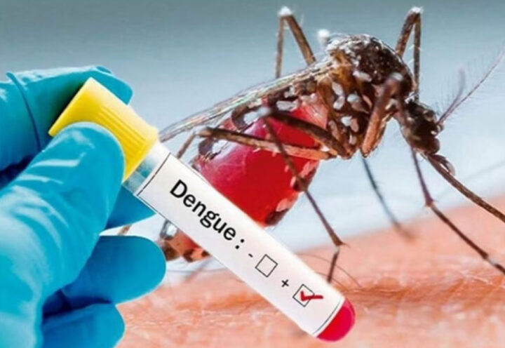 dengue