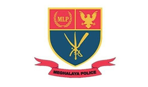 MLP