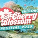 cherry-blossom