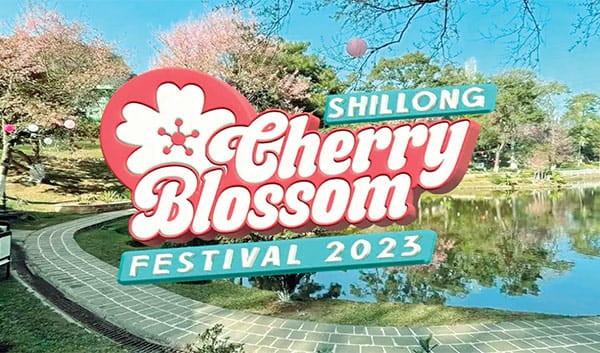 cherry-blossom
