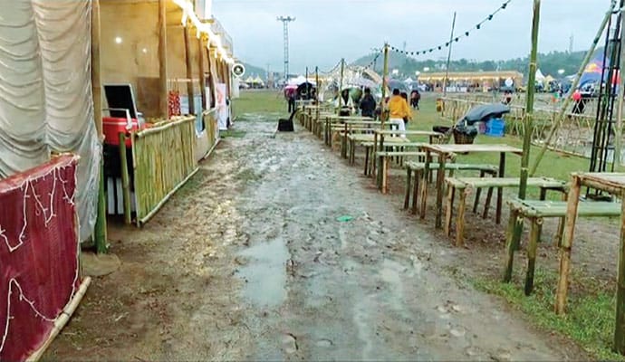 dukan-cherry-blossom