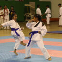 karate