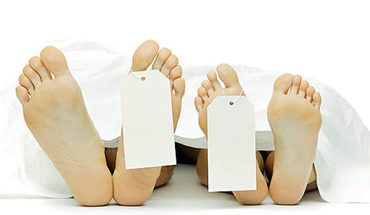 bar-jylla-ba-shah-pyniap