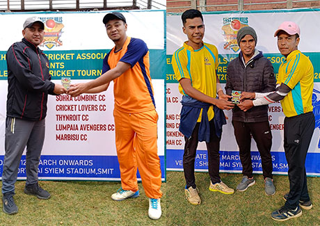 district-cricket-league