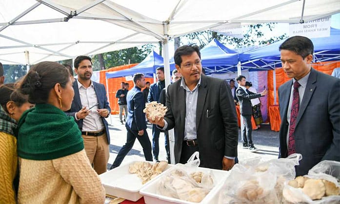 shiitake-mushroom-production-and-training