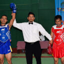 wushu