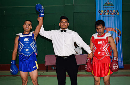 wushu
