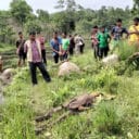 WhatsApp-Image-2024-05-30-a