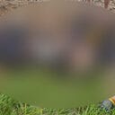 ba-shah-pyniap-na-nepal