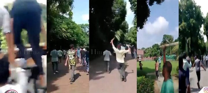 nongiakhih-ha-bangladesh