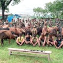 nongkhaii-ba-shah-kem