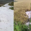 julor-ki-iingthung-jingtep