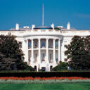 white-house