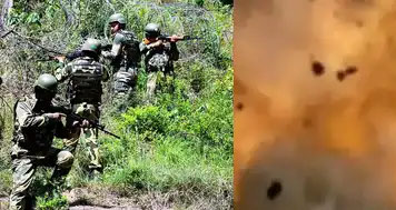 commando