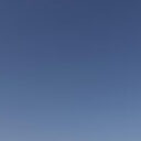 lama