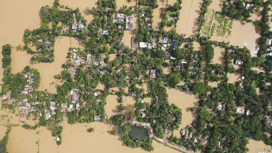 Shah ktah palat 50,000 ngut naba shlei ka wah ha Odisha odisha