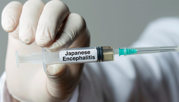 Shah ktah 9 ngut na ka JE ha Nagaland japanese-encephalitis