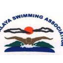 msa