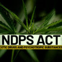 ndps-act
