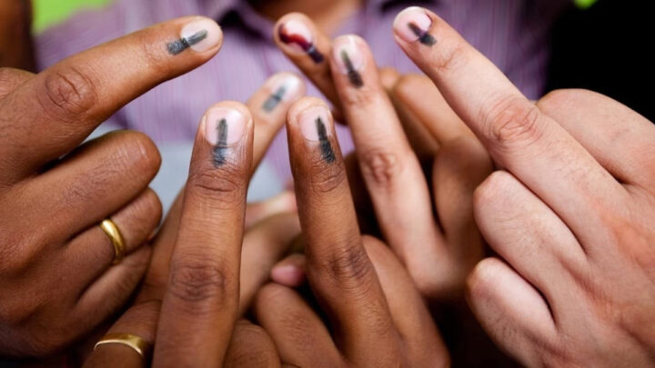 thep-vote