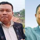 mla