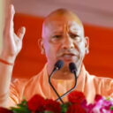 yogi
