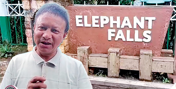 elephant-fall