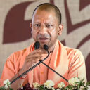 yogi