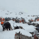 hap-thah-ha-tibet
