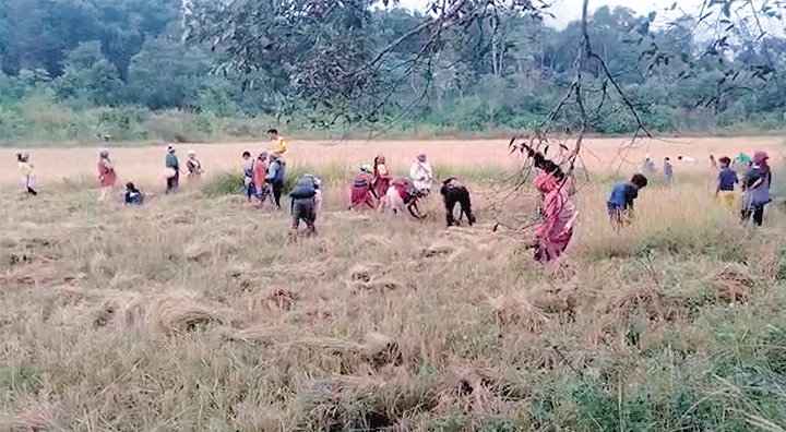 Sa sha pynthor ha Nongjrong hiar ki nongrep ban ot ïa u kba pynthor-ha-nongjrong