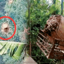 Mynshwa da ka bormet mynta da ka Ropeway kit ïa ki marbam-marrep, tang shi minit la poi: Olan ropeway