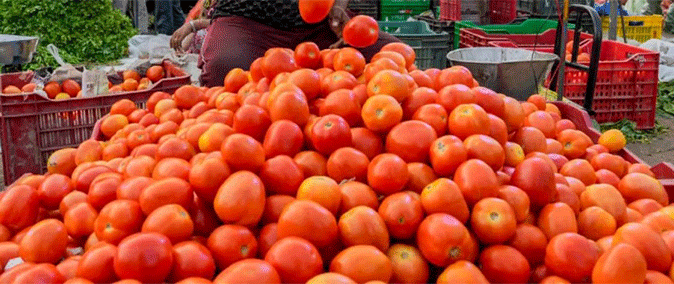 Ud ki nongrep ba hiar dor u sohsaw haduh 10 tyngka shi kilo sohsaw