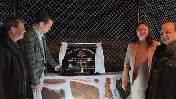 locality-beautification