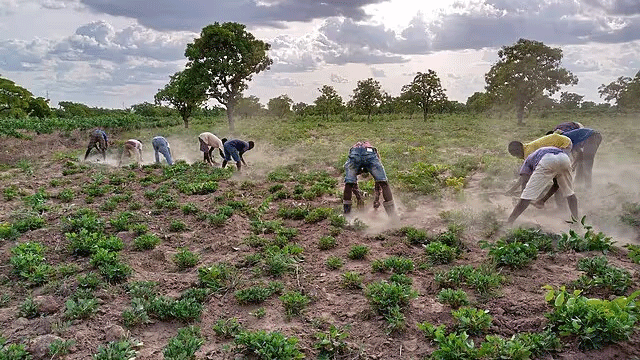 nongrep-ha-arunachal