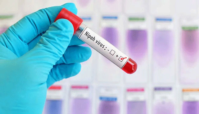 nipah