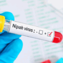 nipah