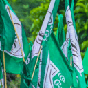 bjd