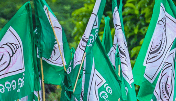bjd