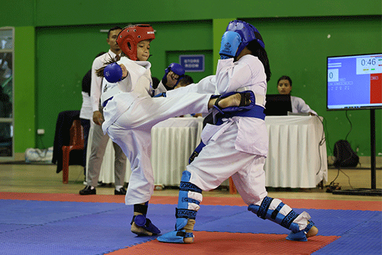 karate