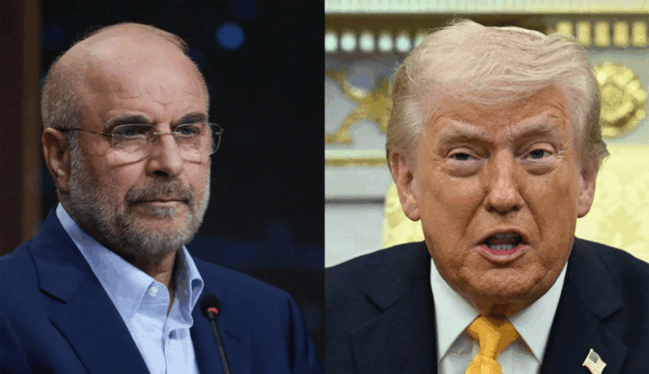 trump_bagher