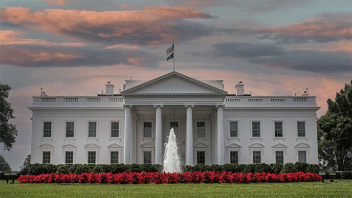 white-house