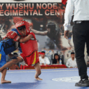 wushu