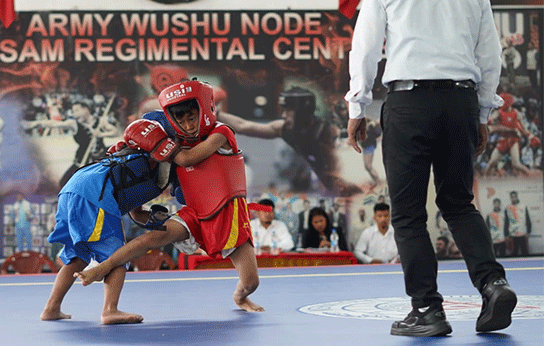 wushu